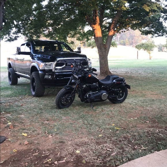 Meet your Posher, Robbie - Picture 8 of 8